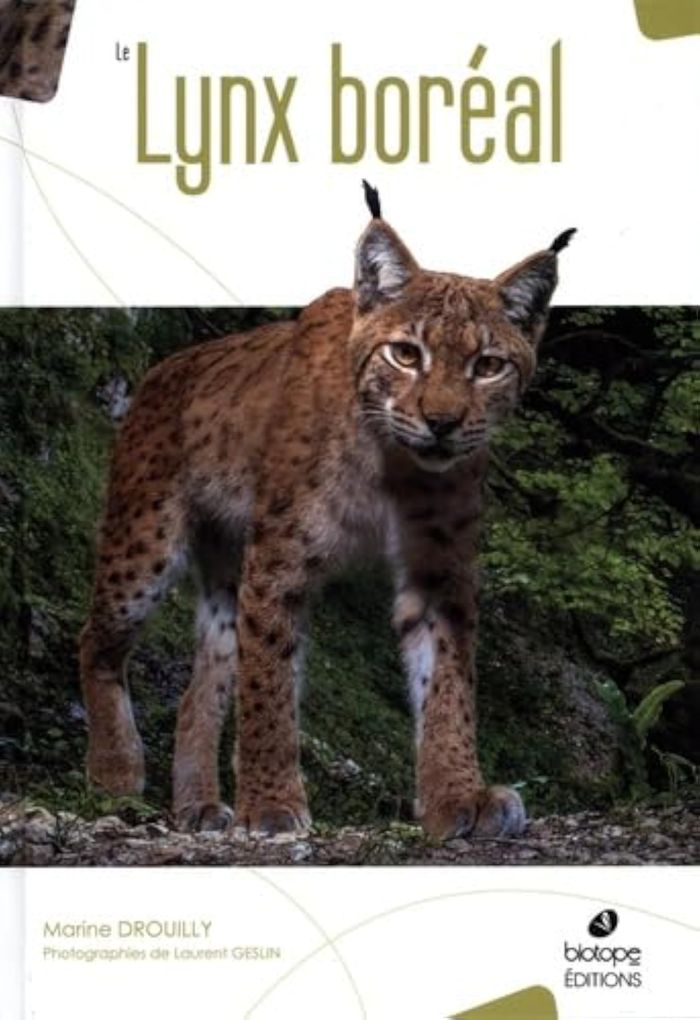 Couverture du livre « LE LYNX BOREAL » de Marine Drouilly, librairie Les Contes Infusés à Corte