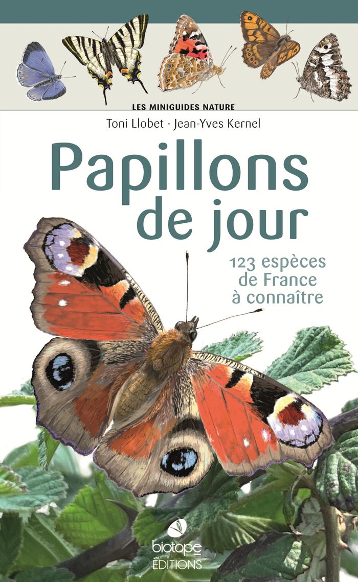 Couverture du livre « Papillons de jour : 123 espèces de France à connaître » de Toni Llobet, librairie Les Contes Infusés à Corte