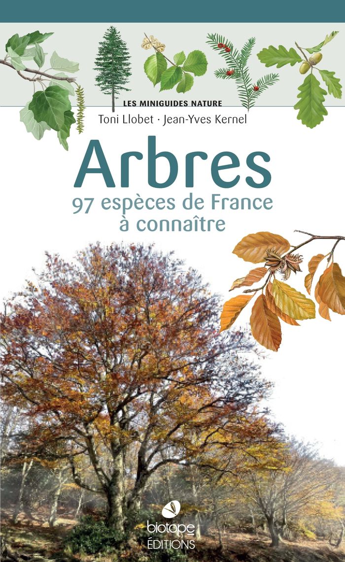 Couverture du livre « Arbres : 97 espèces de France à connaître » de Toni Llobet, librairie Les Contes Infusés à Corte