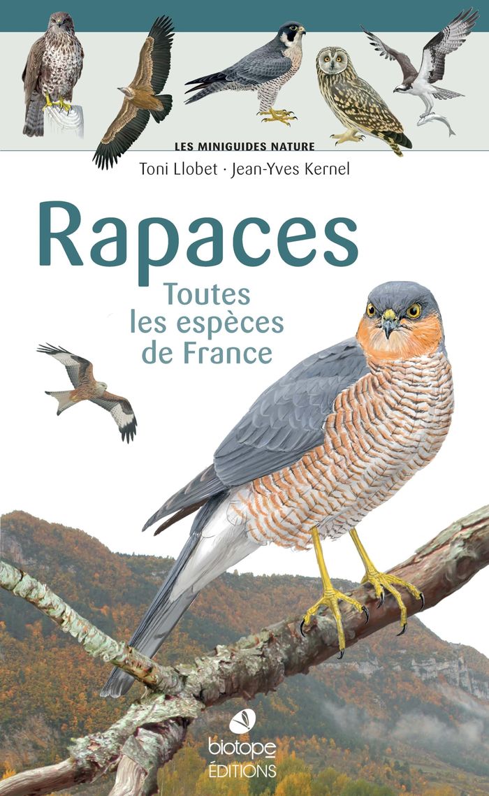 Couverture du livre « Rapaces : toutes les espèces de France » de Toni Llobet, librairie Les Contes Infusés à Corte