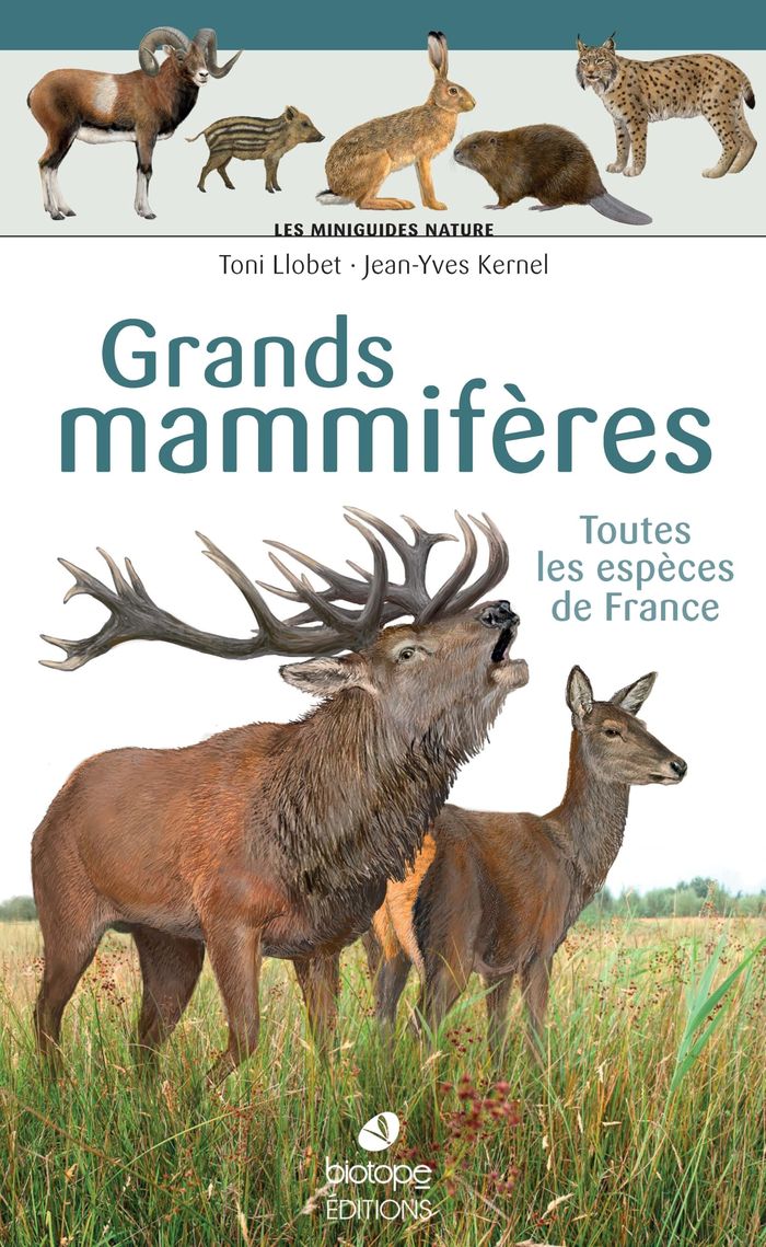 Couverture du livre « Grands mammifères : toutes les espèces de France » de Toni Llobet, librairie Les Contes Infusés à Corte