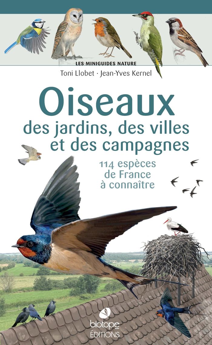 Couverture du livre « Oiseaux des jardins, des villes et des campagnes : 114 espèces de France à connaître » de Toni Llobet, librairie Les Contes Infusés à Corte