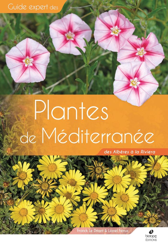 Couverture du livre « Plantes de Méditerranée : des Albères à la Riviera » de Franck Le Driant, librairie Les Contes Infusés à Corte