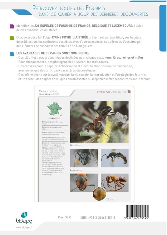Quatrième de couverture de « Fourmis de France, Belgique, Luxembourg & Suisse »