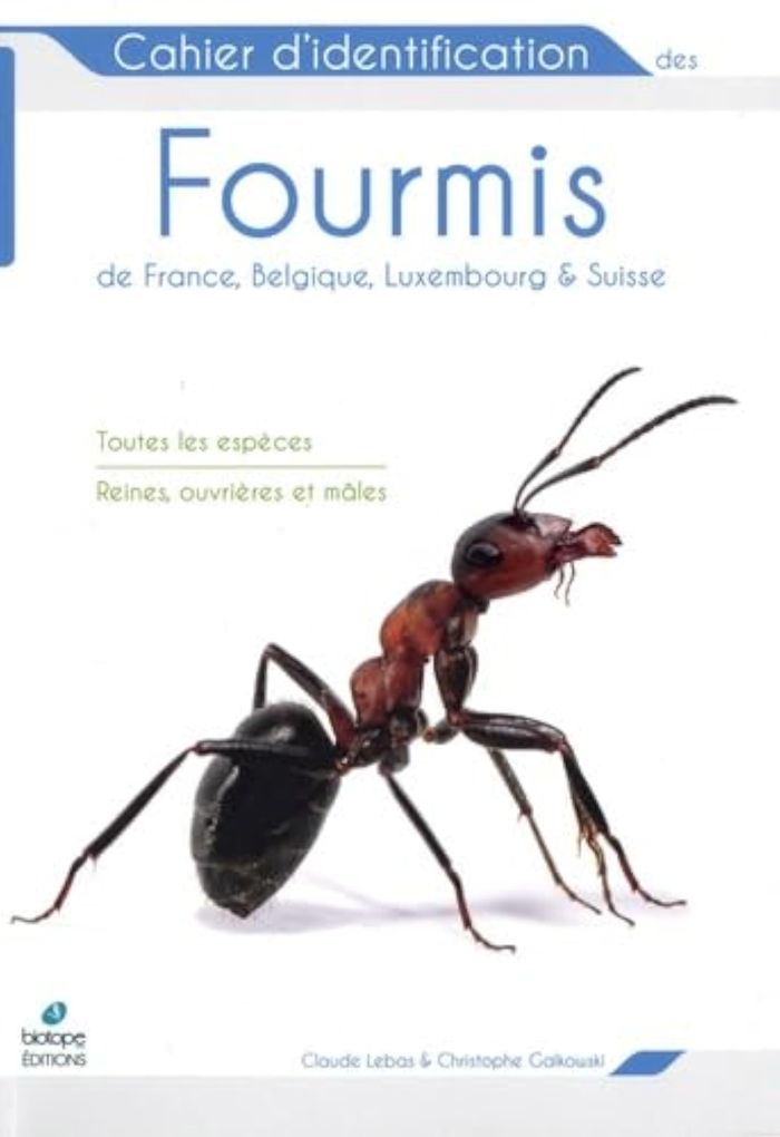 Couverture du livre « Fourmis de France, Belgique, Luxembourg & Suisse » de Claude Lebas, librairie Les Contes Infusés à Corte