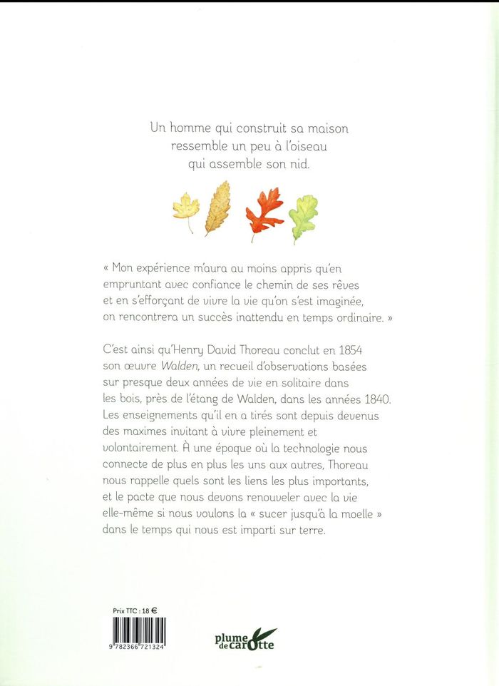 Quatrième de couverture de « Une année dans les bois »