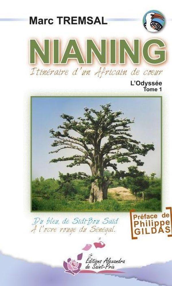 Quatrième de couverture de « NIANING.L'ODYSSEE TOME 1 »