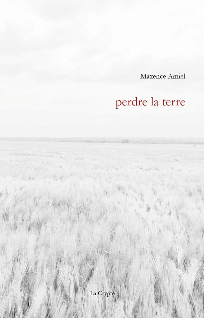 Couverture du livre « PERDRE LA TERRE » de Maxence Amiel, librairie Les Contes Infusés à Corte