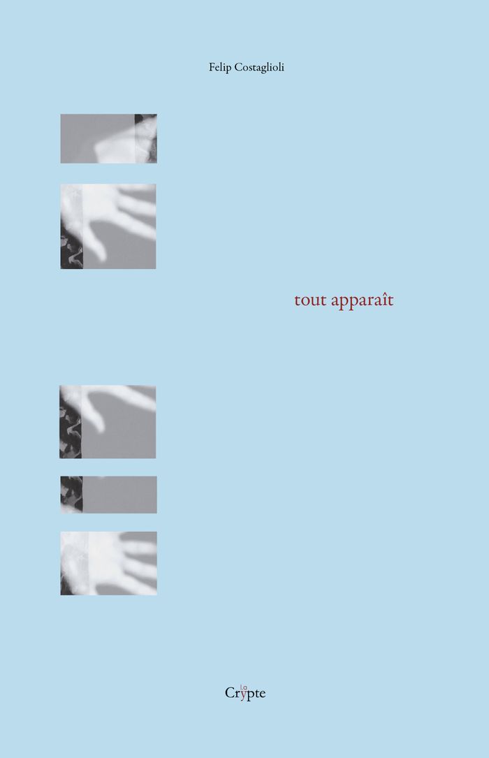 Couverture du livre « Tout apparaît » de Felip Costaglioli, librairie Les Contes Infusés à Corte