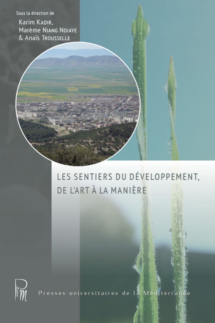 Couverture du livre « LES SENTIERS DU DEVELOPPEMENT, DE L'ART A LA MANIERE » de Niang Ndiaye. Kadir, librairie Les Contes Infusés à Corte