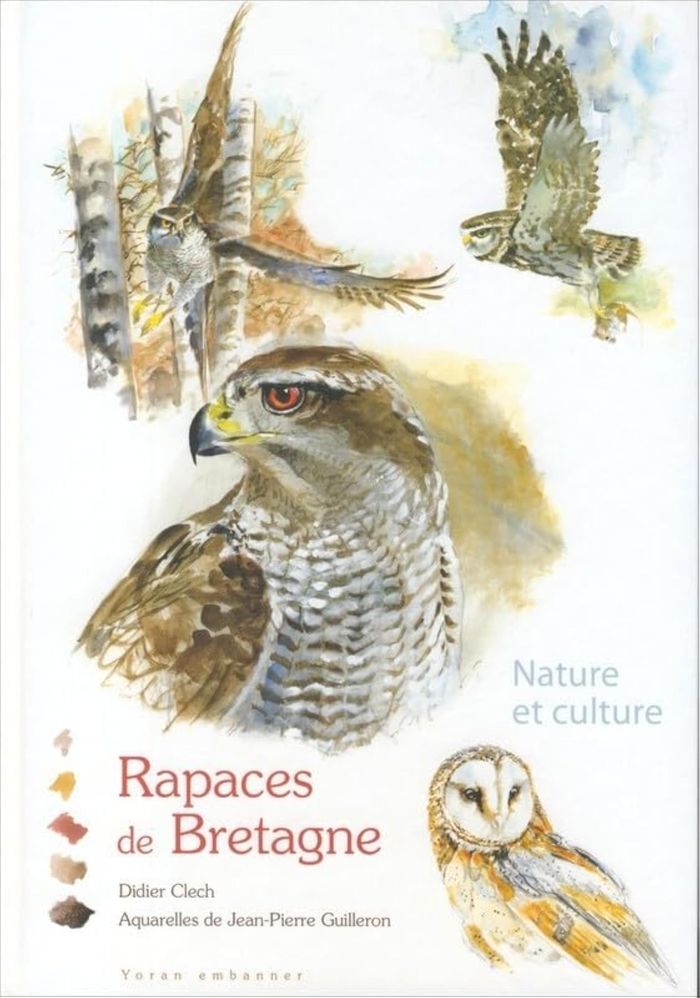 Couverture du livre « RAPACES DE BRETAGNE - EDITION MULTILINGUE », librairie Les Contes Infusés à Corte