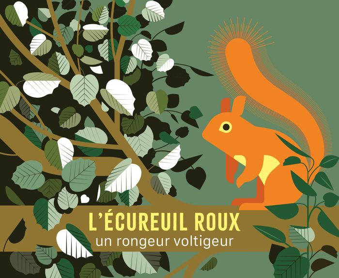 Couverture du livre « L'écureuil roux : un habile petit rongeur » de Cécile Jacoud, librairie Les Contes Infusés à Corte