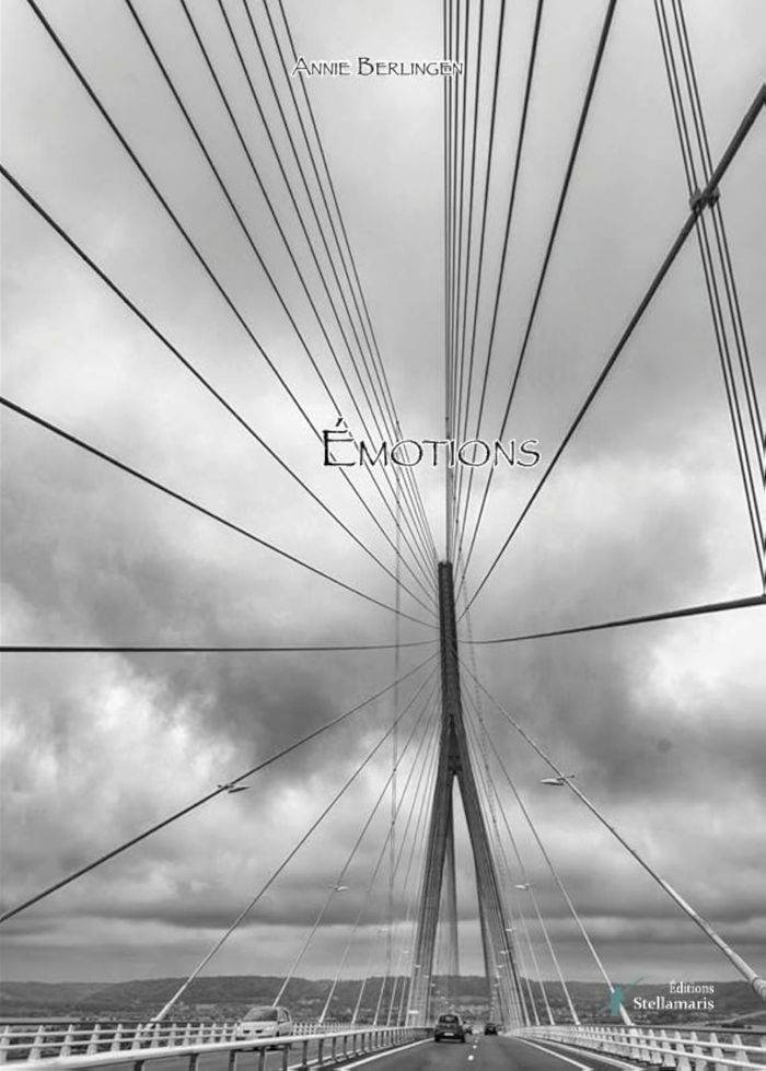 Couverture du livre « EMOTIONS » de Annie Berlingen, librairie Les Contes Infusés à Corte