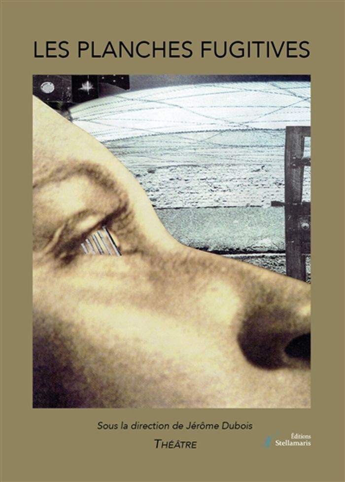 Couverture du livre « LES PLANCHES FUGITIVES » de Jerome Dubois, librairie Les Contes Infusés à Corte