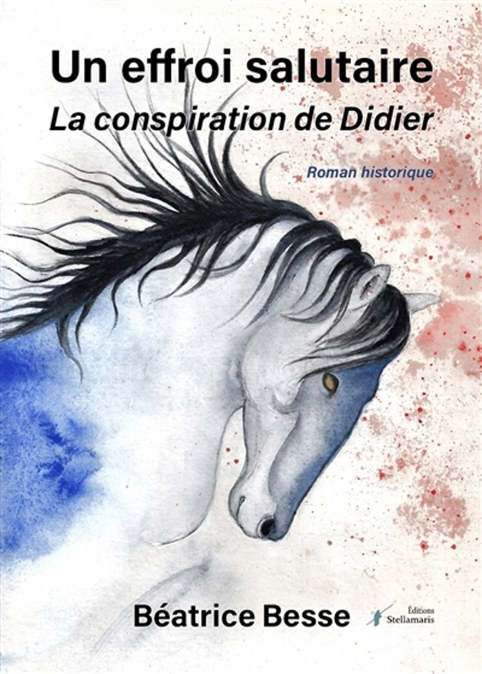 Couverture du livre « UN EFFROI SALUTAIRE - LA CONSPIRATION DE DIDIER » de Beatrice Besse, librairie Les Contes Infusés à Corte