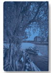 Quatrième de couverture de « Paris : EN »