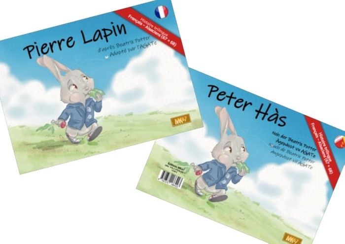 Couverture du livre « L'histoire de Pierre Lapin » de Beatrix Potter, librairie Les Contes Infusés à Corte