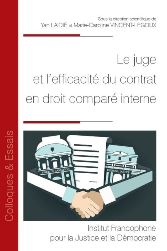Couverture du livre « LE JUGE ET L'EFFICACITE DU CONTRAT EN DROIT COMPARE INTERNE - TOME 123 » de Laidie, librairie Les Contes Infusés à Corte