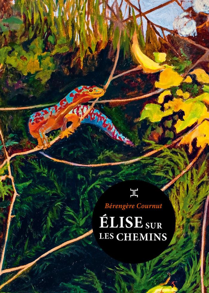 Couverture du livre « Élise sur les chemins » de Bérengère Cournut, librairie Les Contes Infusés à Corte