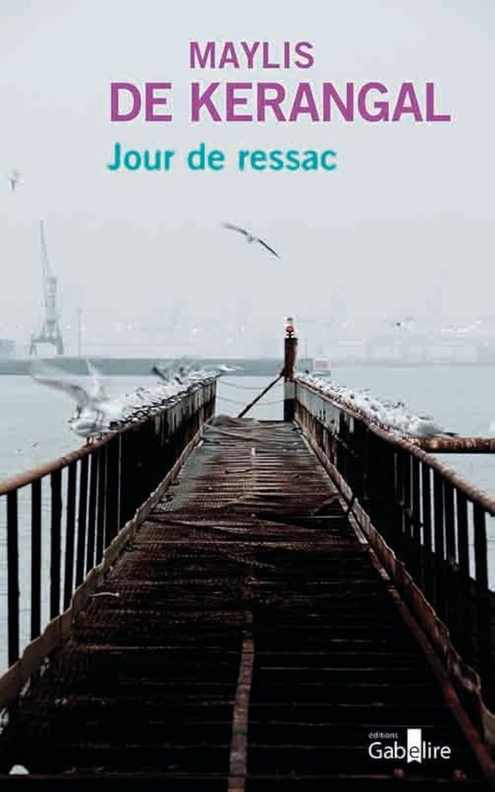 Couverture du livre « Jour de ressac : roman » de Maylis de Kerangal, librairie Les Contes Infusés à Corte