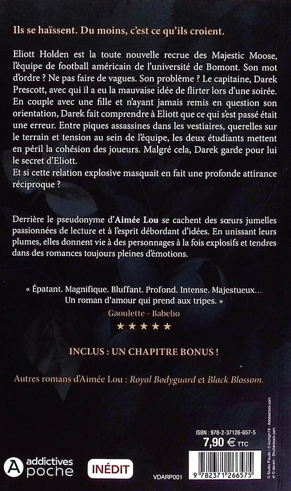 Quatrième de couverture de « Esprit d'équipe »