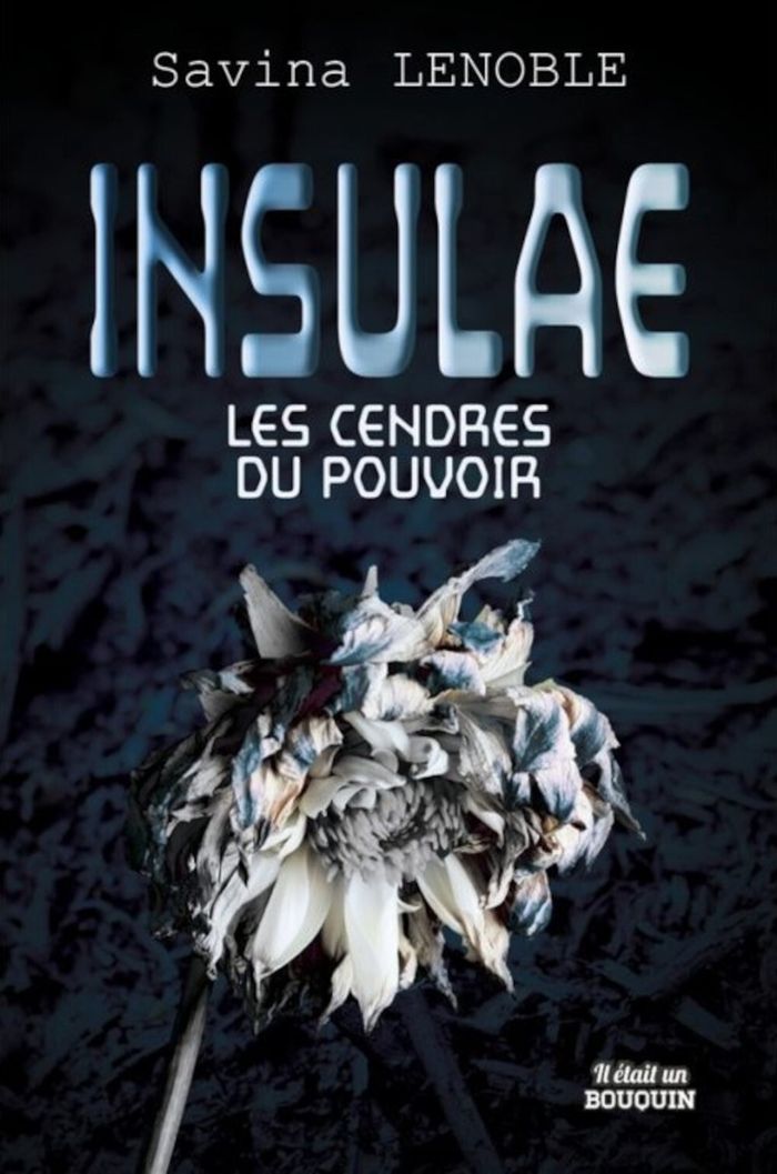 Couverture du livre « Les cendres du pouvoir » de Savina Lenoble, librairie Les Contes Infusés à Corte