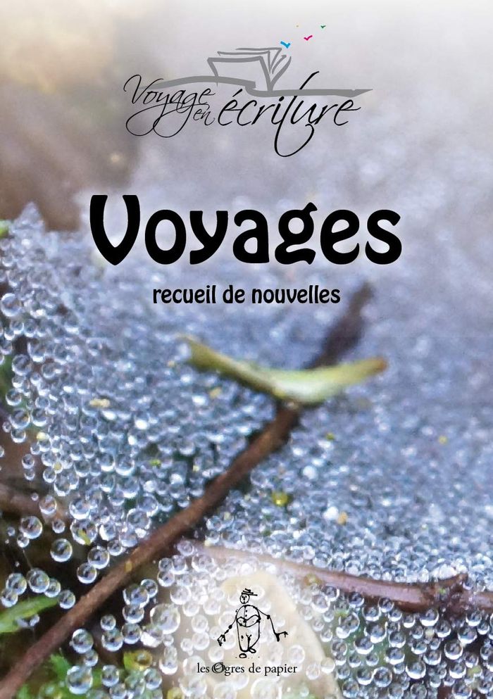 Couverture du livre « VOYAGES » de En Ecriture Voyage, librairie Les Contes Infusés à Corte