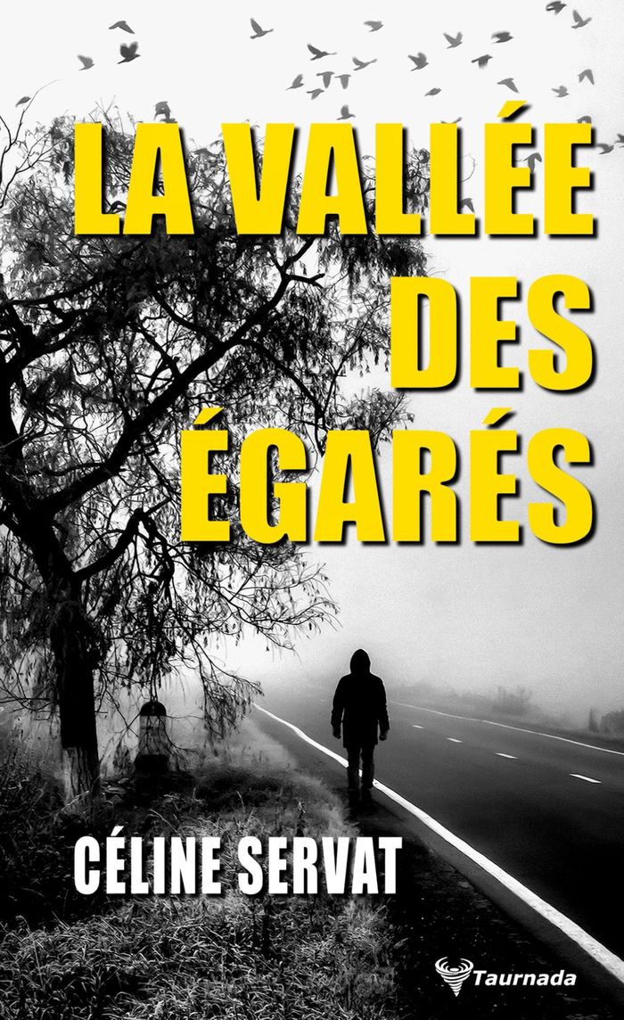 Couverture du livre « La vallée des égarés » de Céline Servat, librairie Les Contes Infusés à Corte