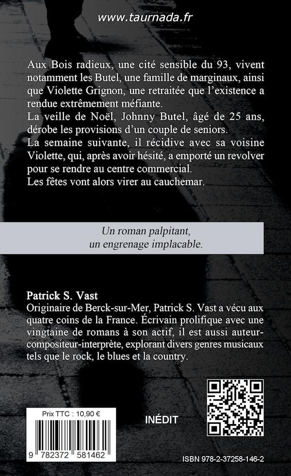 Quatrième de couverture de « Troubles fêtes »