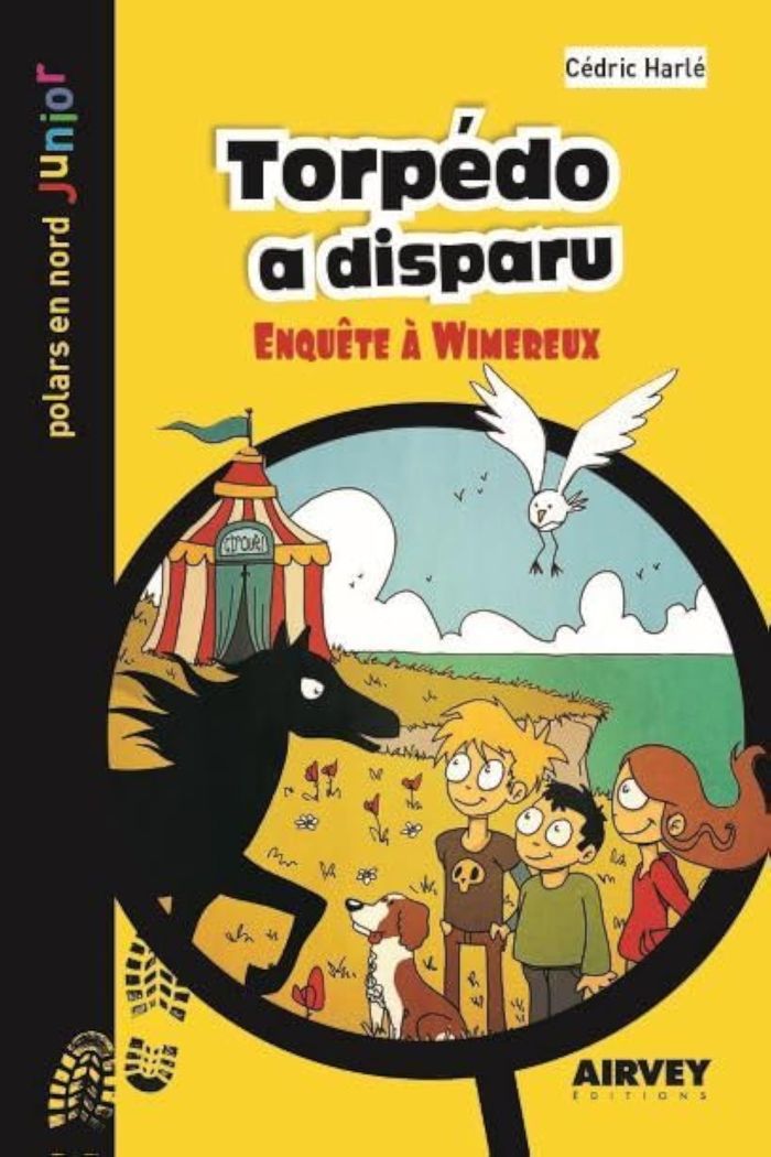 Couverture du livre « TORPEDO A DISPARU - ENQUETE A WIMEREUX » de Cedric Harle, librairie Les Contes Infusés à Corte