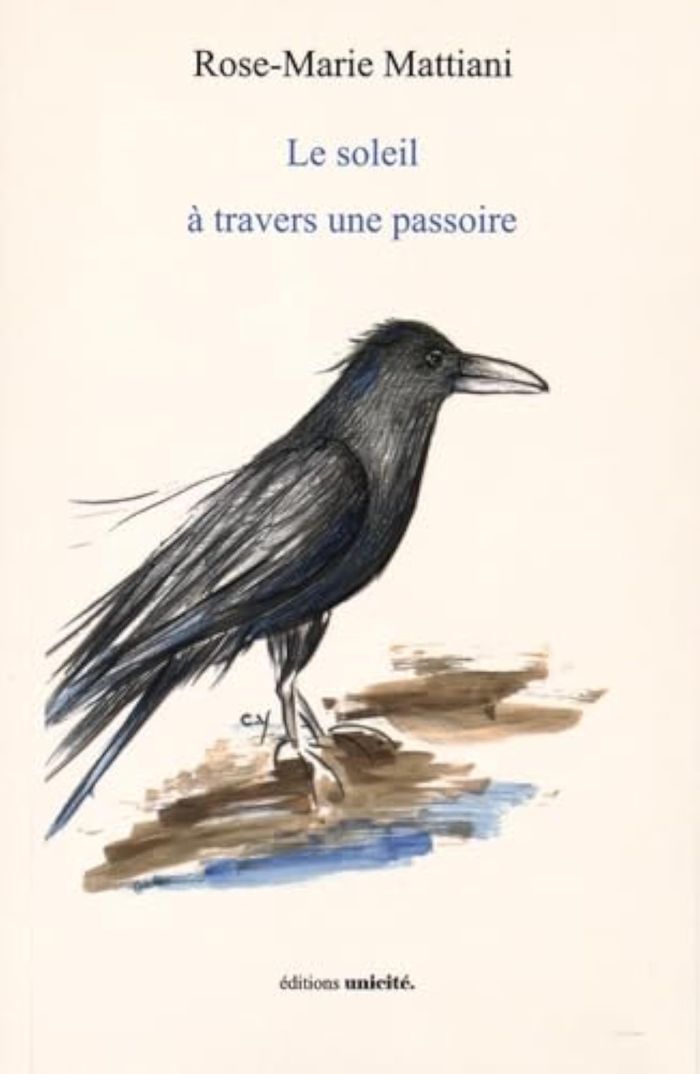 Couverture du livre « LE SOLEIL A TRAVERS UNE PASSOIRE » de Rose-Marie Mattiani, librairie Les Contes Infusés à Corte