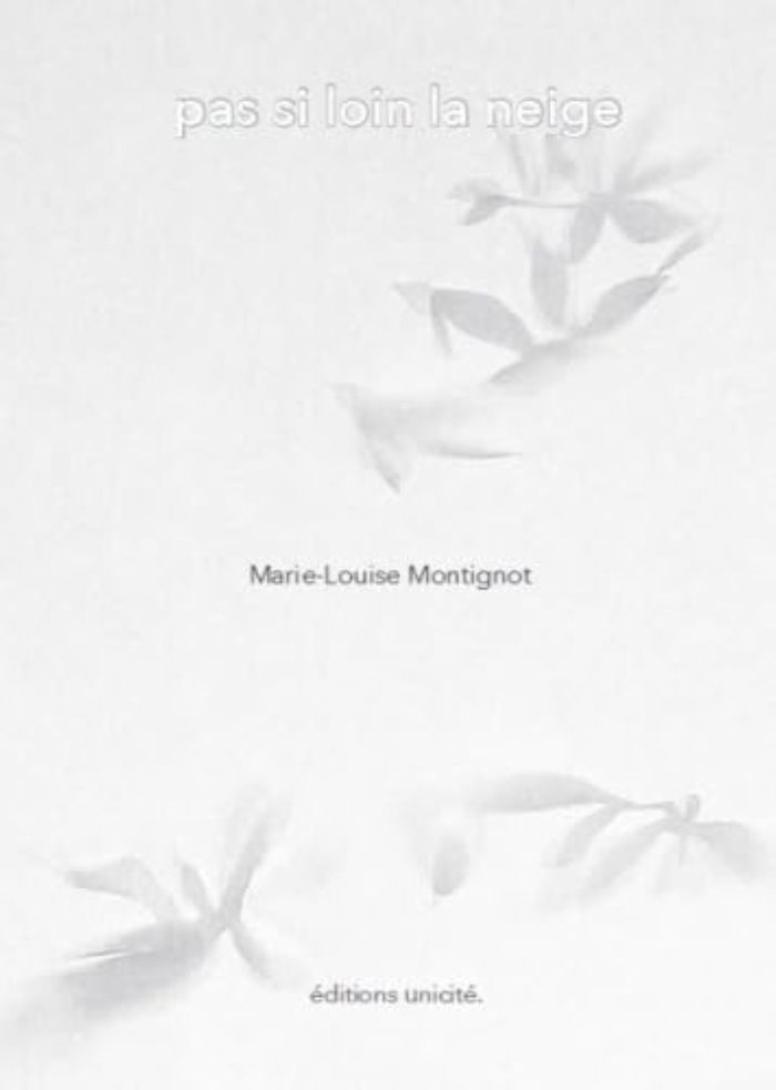 Couverture du livre « PAS SI LOIN LA NEIGE », librairie Les Contes Infusés à Corte