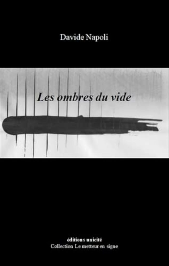Couverture du livre « LES OMBRES DU VIDE » de Davide Napoli, librairie Les Contes Infusés à Corte