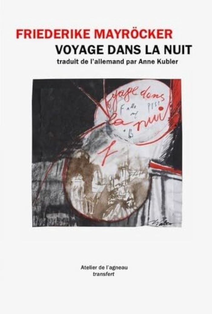 Couverture du livre « VOYAGE DANS LA NUIT », librairie Les Contes Infusés à Corte