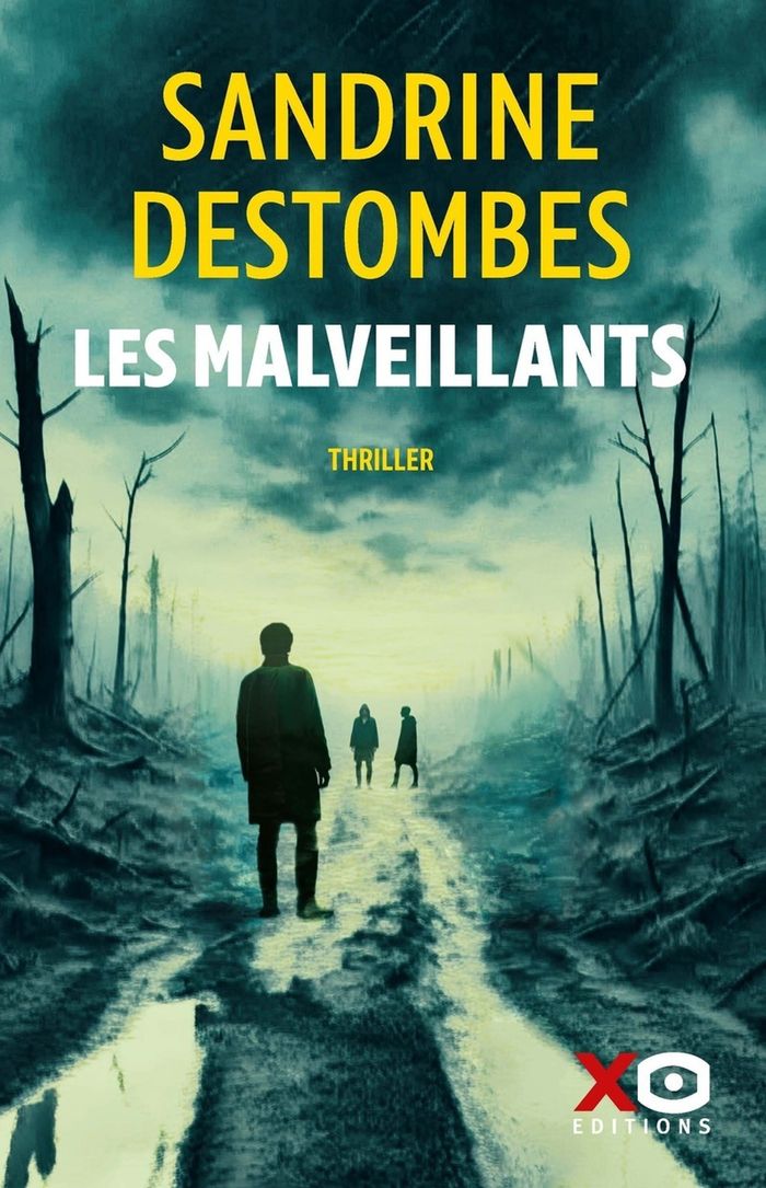 Couverture du livre « Les malveillants : thriller » de Sandrine Destombes, librairie Les Contes Infusés à Corte