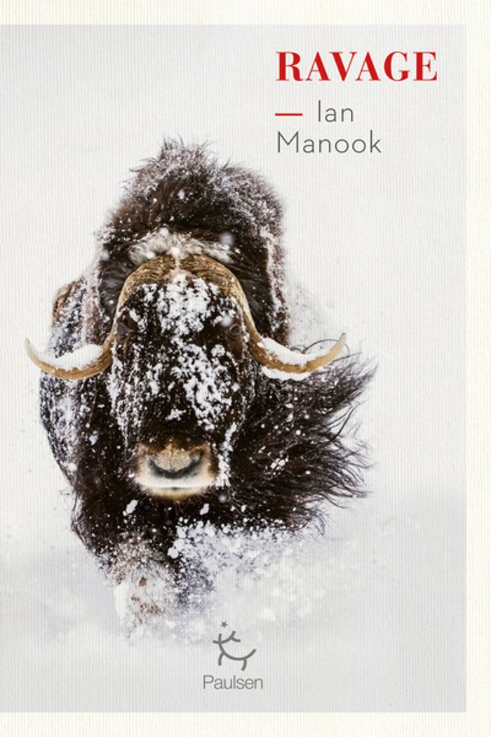Couverture du livre « Ravage » de Ian Manook, librairie Les Contes Infusés à Corte