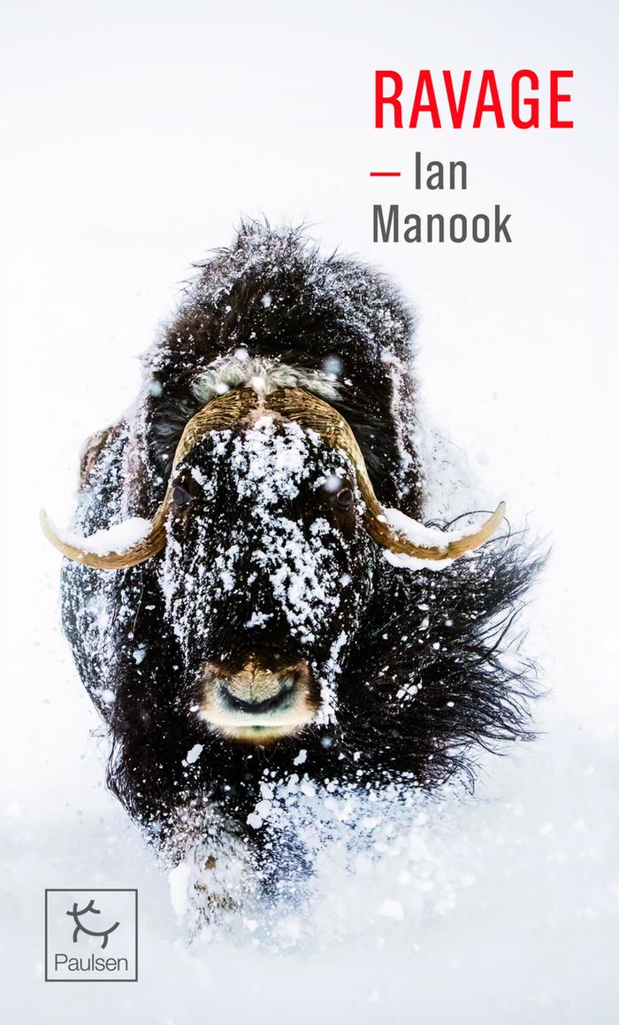 Couverture du livre « Ravage » de Ian Manook, librairie Les Contes Infusés à Corte