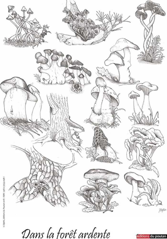 Couverture du livre « DANS LA FORET ARDENTE » de Yves Brondel, librairie Les Contes Infusés à Corte