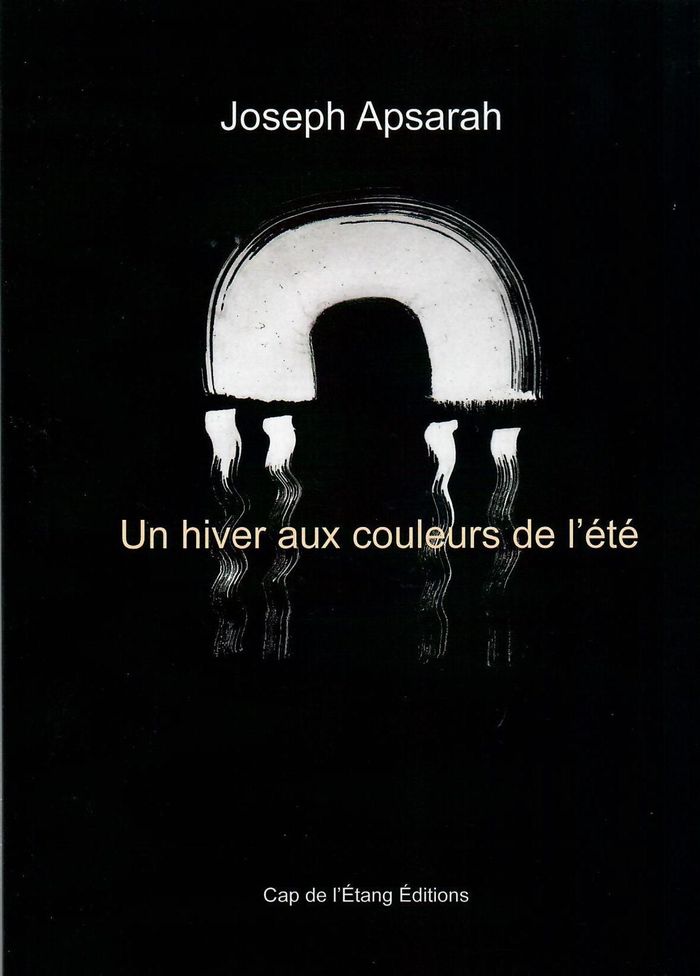 Couverture du livre « Un hiver aux couleurs de l'été : poésies et encre de Chine », librairie Les Contes Infusés à Corte