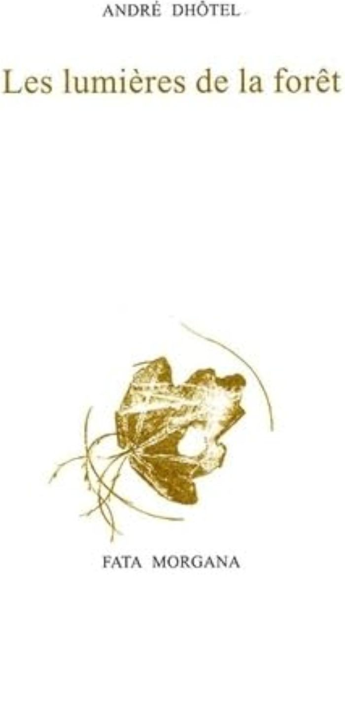 Couverture du livre « Les Lumières de la forêt » de André Dhôtel, librairie Les Contes Infusés à Corte