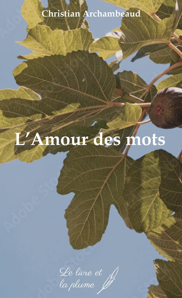 Couverture du livre « L'AMOUR DES MOTS », librairie Les Contes Infusés à Corte