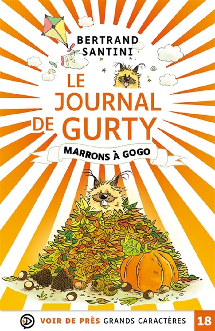Couverture du livre « Marrons à gogo » de Bertrand Santini, librairie Les Contes Infusés à Corte