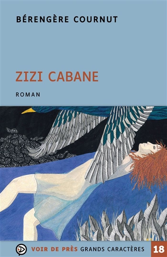 Couverture du livre « Zizi Cabane » de Bérengère Cournut, librairie Les Contes Infusés à Corte
