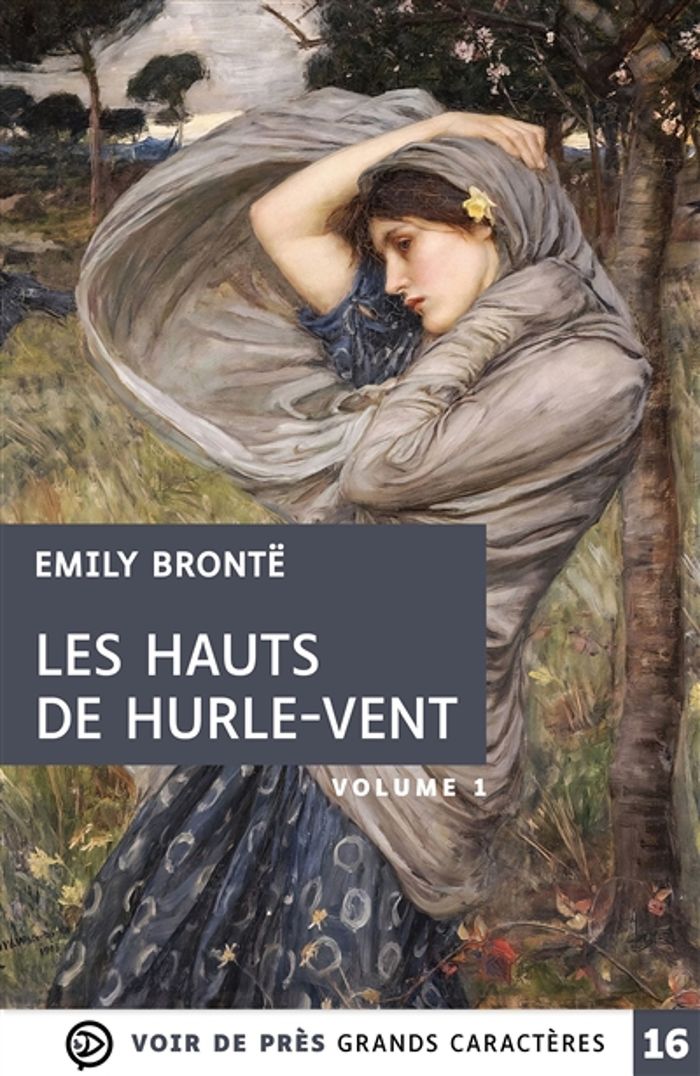 Couverture du livre « Les Hauts de Hurle-Vent : grands caractères, édition accessible pour les malvoyants » de Emily Brontë, librairie Les Contes Infusés à Corte