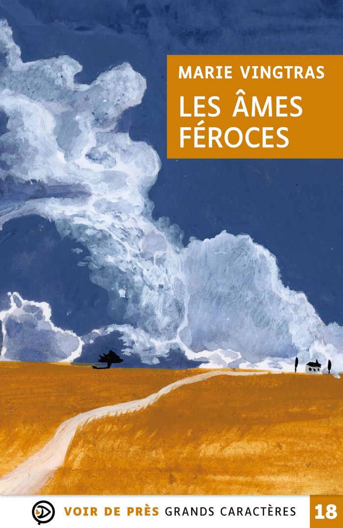Couverture du livre « Les âmes féroces : roman » de Marie Vingtras, librairie Les Contes Infusés à Corte
