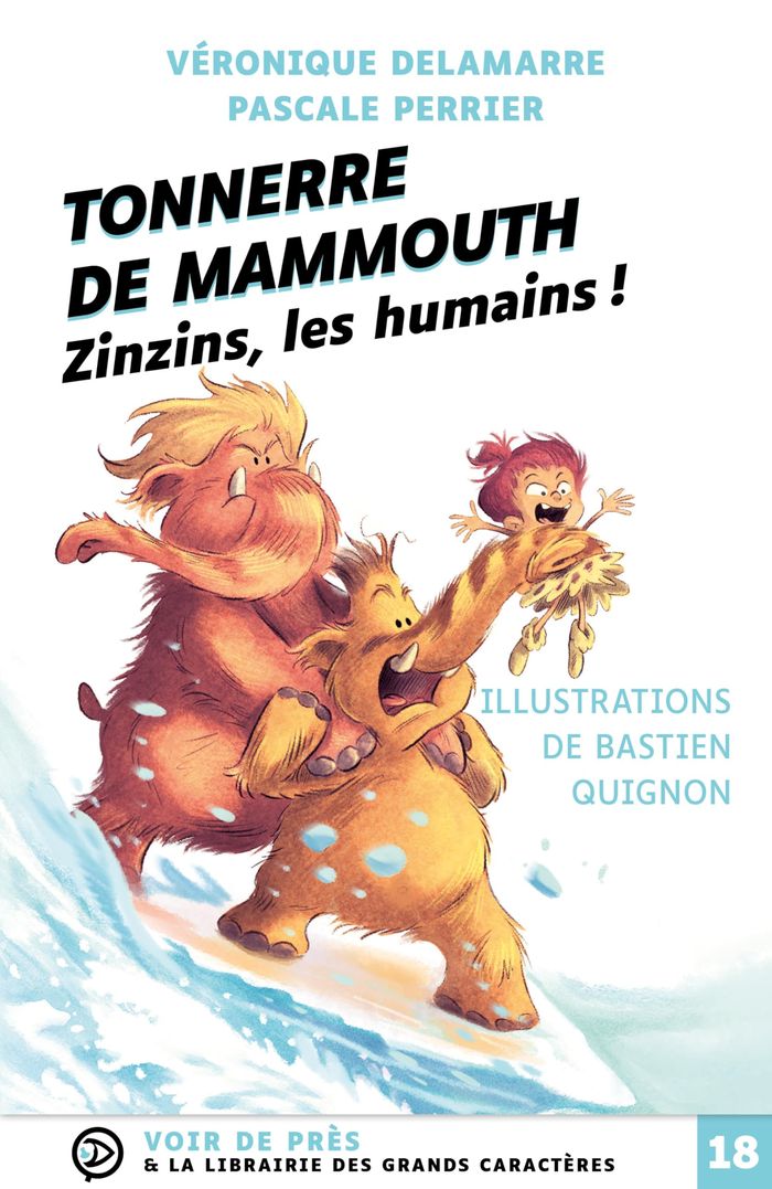 Couverture du livre « Zinzins, les humains ! » de Véronique Delamarre, librairie Les Contes Infusés à Corte