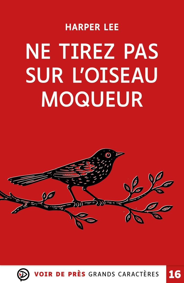 Couverture du livre « Ne tirez pas sur l'oiseau moqueur », librairie Les Contes Infusés à Corte
