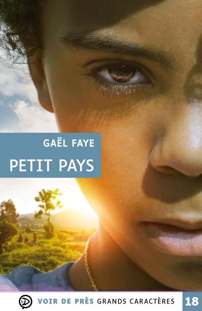 Couverture du livre « Petit pays : roman » de Gaël Faye, librairie Les Contes Infusés à Corte