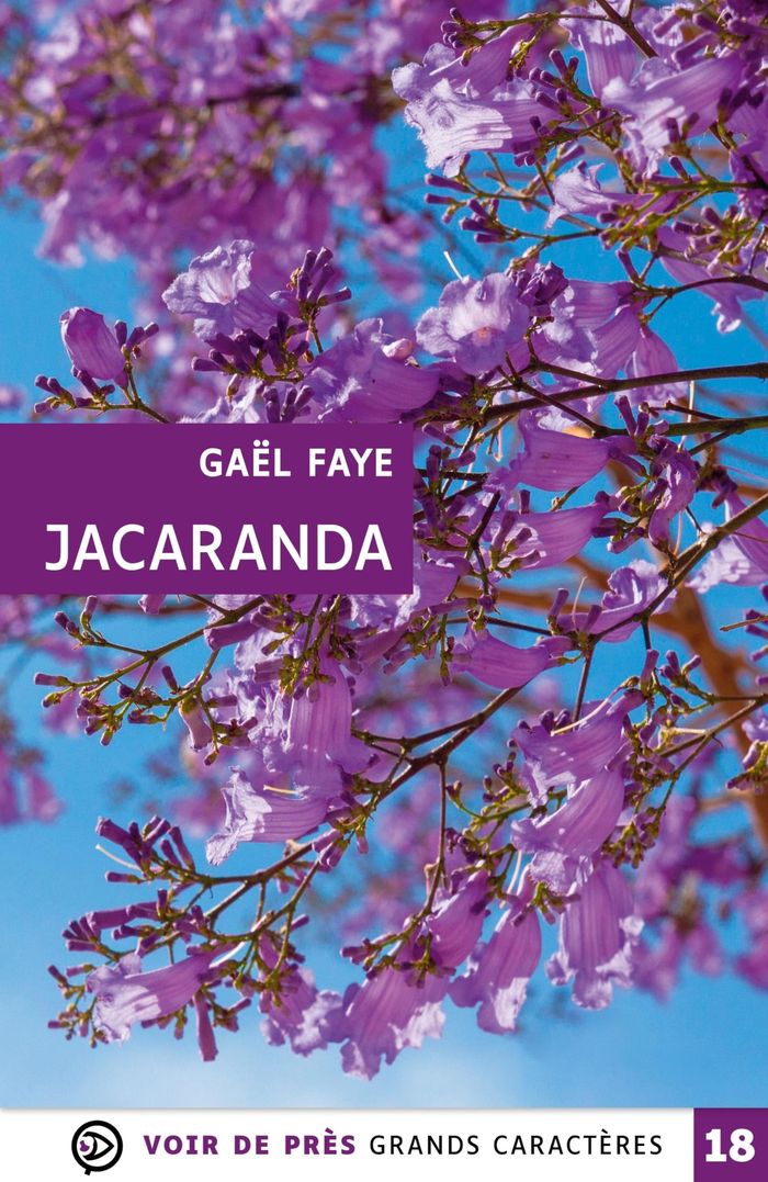 Couverture du livre « Jacaranda : roman » de Gaël Faye, librairie Les Contes Infusés à Corte