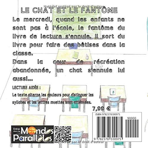 Quatrième de couverture de « LE CHAT ET LE FANTOME - VERSION "DYS" »